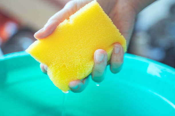 Hand squeezing a wet yellow sponge over a green bucket, demonstrating proper sponge cleaning techniques.